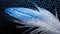 beautiful blue feather with drops of water on a dark background close up