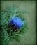 Beautiful blue flowered artichoke against a textured green background