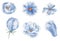 Beautiful blue flowers watercolor hand drawn raster illustration set