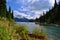 Beautiful blue Garibaldi Lake surrounded by trees and mountains covered with glacier.