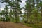 Beautiful blue lake and pine forest, Park Mon Repos, Vyborg, Russia