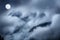 Beautiful Blue Moon Rises over layers of fog and clouds in the Colorado Rocky Mountains