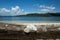 Beautiful blue ocean and white sand beach.