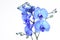 A beautiful blue orchid standing against a white background