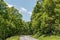 Beautiful Blue Ridge Parkway forest vista, western North Carolina