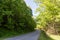 Beautiful Blue Ridge Parkway forest vista, western North Carolina