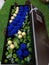 Beautiful blue roses and chocolate flower bouquet in box