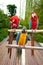 Beautiful blue and scarlet macaw perched on a wooden post by the tropical garden