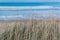 Beautiful blue sea with white waves view through dry grass