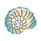 Beautiful blue seashell, an empty shell of a sea mollusk. Colorful cartoon illustration