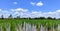 Beautiful blue sky background and beautiful white cloudy sky background over the green fresh rice fields, tropical agriculture.