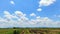 Beautiful blue sky background and beautiful white cloudy sky over the harvested rice fields. Summer sky bright and fresh.