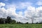 Beautiful blue sky with clouds for background and bright lighting clear on Summer and green forest Cassava plantation bottom