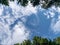 Beautiful blue sky, green tree tops, white clouds, suitable for background