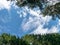 Beautiful blue sky, green tree tops, white clouds, suitable for background