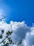 The beautiful blue sky and white clouds adorning the sky are a perfect sight