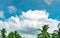 Beautiful blue sky and white cumulus clouds against coconut tree in happy and chill out day. While away time on tropical summer