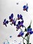 Beautiful blue and violet orchid painting.