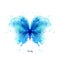 Beautiful blue watercolor abstract translucent butterfly on the white background.