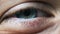 Beautiful Blue Woman Eye, Extreme Close-up. Sight. Detail View Young Girl`s Eye