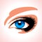 Beautiful blue womans eye.