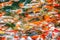 Beautiful blurred image of fancy carps