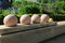 Beautiful bocce balls ready for play