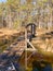 Beautiful bog landscape, curved wooden bridge over ditch