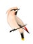 The beautiful Bohemian Waxwing watercolor bird illustration