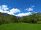 Beautiful Bohinj countryside with a meadow and trees