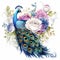 beautiful boho peacock and peonies clipart illustration