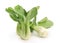 Beautiful Bok choy chinese cabbage or Qing geng cai isolated on white with natural shadows