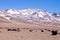 Beautiful bolivian landscape,Bolivia