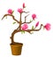 Beautiful bonsai with flowers