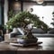 beautiful bonsai tree that is placed on a sleek modern table