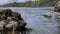 Beautiful Botanical Beach at Juan De Fuca Provincial Park, near Port Renfrew, British Columbia, Canada