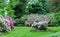 Beautiful botanical landscape with blooming rhododendrons, trees, walkside and bench. Spring background