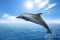 Beautiful bottlenose dolphin jumping out of sea with clear blue water on sunny day