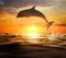 Beautiful bottlenose dolphin jumping out of sea at sunset