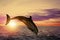 Beautiful bottlenose dolphin jumping out of sea at sunset