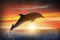 Beautiful bottlenose dolphin jumping out of sea at sunset