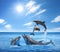 Beautiful bottlenose dolphins jumping out of sea with clear blue water on sunny day