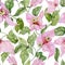 Beautiful bougainvillea flowers on climbing twigs on white background. Seamless floral pattern. Watercolor painting.