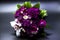 Beautiful bouquet of bride purple flowers on a dark background.