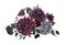 Beautiful bouquet composition with watercolor dark blue, red and black dahlia hydrangea flowers. Stock illustration.