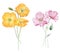 Beautiful bouquet composition with watercolor yellow poppy flowers. Stock illustration.