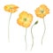 Beautiful bouquet composition with watercolor yellow poppy flowers. Stock illustration.