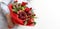 Beautiful bouquet consisting of pomegranate, apples, grapes, plums and scarlet roses in the hands of a woman on a white background