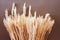 Beautiful bouquet of dry wheat ears. Triticum aestivum. Close-up of the group of decorative ripened cereal spikes.