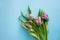 Beautiful bouquet of five tulips isolated on blue background. Spring flowers. Space for your text.